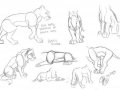 Guide2drawing_TLK_lion_bodies_by_MazBourne.jpg
